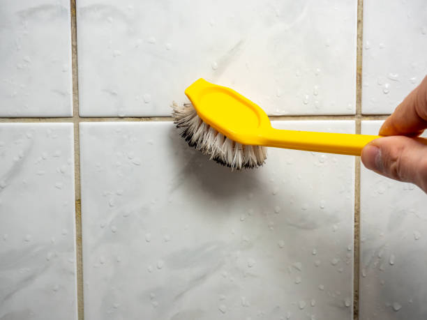 Home Mold Removal in Charlotte, NC