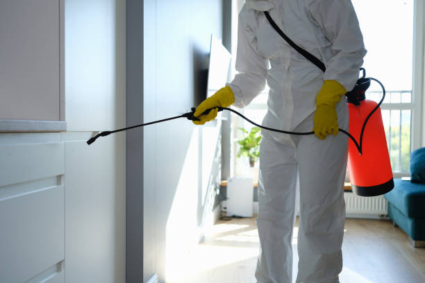 Best Mold Cleaning Services  in Charlotte, NC