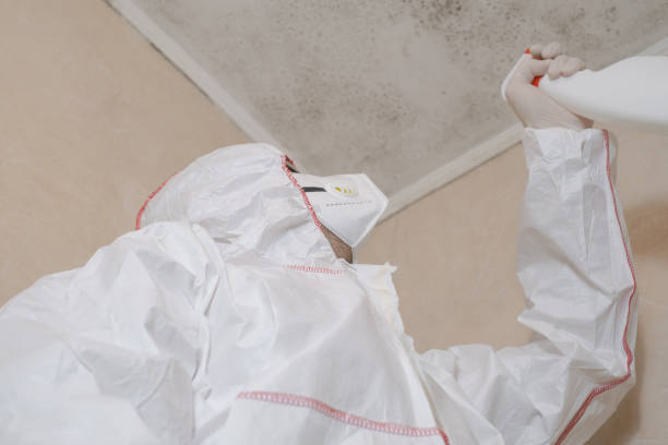 Best Black Mold Removal  in Charlotte, NC
