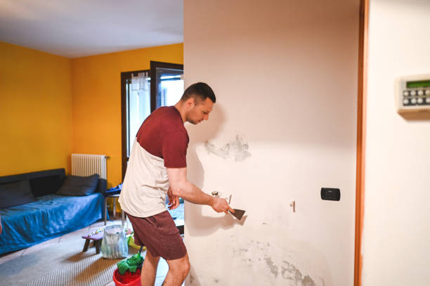 Best Crawl Space Mold Removal  in Charlotte, NC